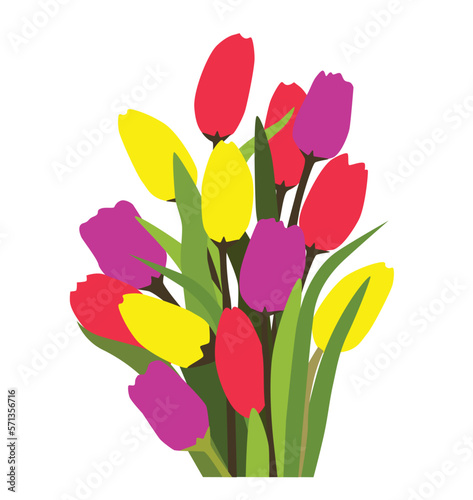 Flores Tulipanes - Tulips Flowers