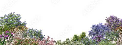 Trees and plants in the garden on a transparent background.