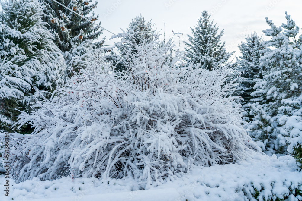Park in the snow. Winter background, selective focus Park in the snow. Winter background, selective focus