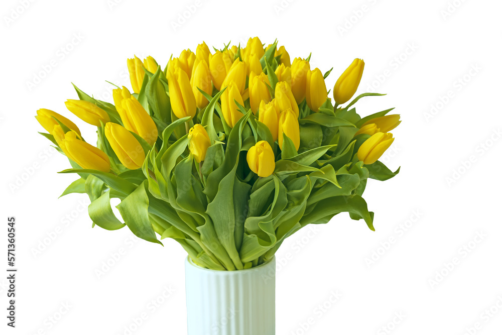A lush bouquet of spring flowers of yellow tulips in a ceramic vase on a light background. Isolate.