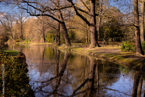 Huge old oaks above river. Oak trees reflecting in the water surface. Early Spring Wroclaw City Park Landscape. 