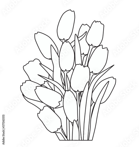 Flores Tulipanes  - Tulips Flowers