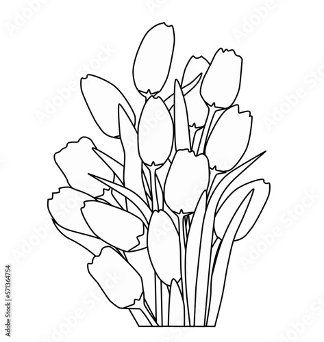 Flores Tulipanes - Tulips Flowers