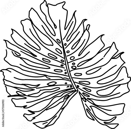 Outline sketch of monstera leaf isolated in doodle minimal style