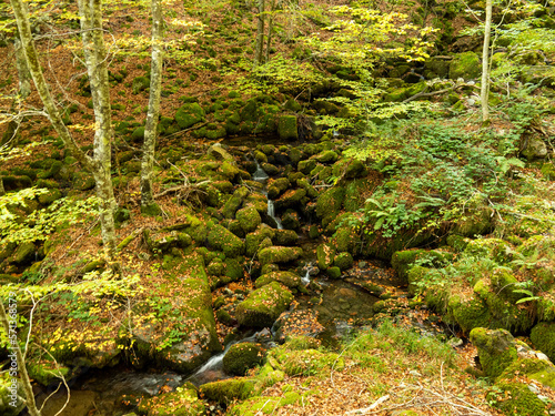 small waterfall in a forest in autumn.