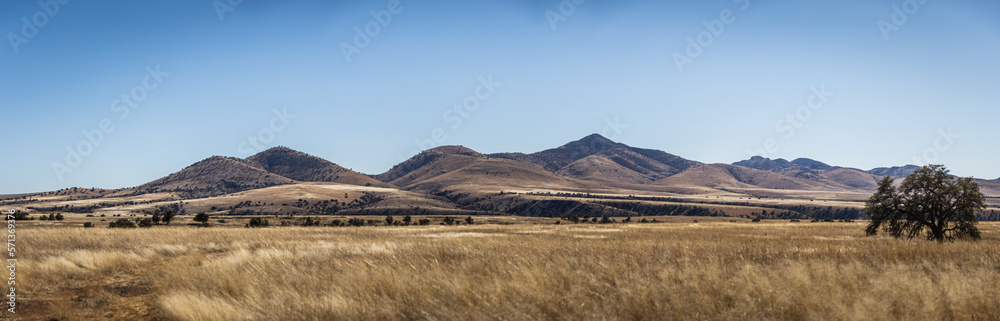 A panoramic view of the desert grasslands of southern Arizona with a clear blue sky.