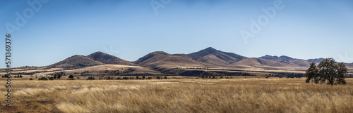 A panoramic view of the desert grasslands of southern Arizona with a clear blue sky.