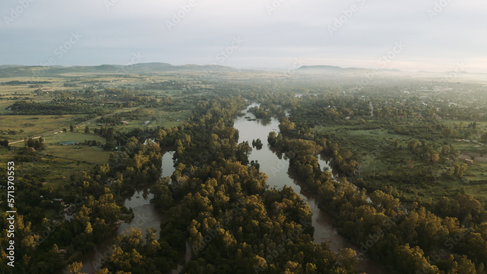 forest landscape growing in green river with fog