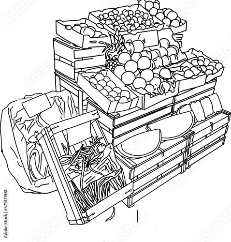 Outline sketch fruit and vegetable boxes from the market in doodle style