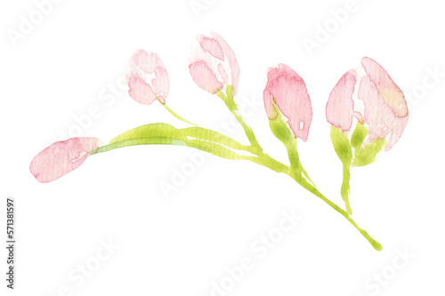 Watercolor spring floral leaf, twig, branch, stick, floral illustration, flower clipart. Create Floral frame, wreath, chaplet, wedding invitation, stationery, save the date, print,poster, pattern