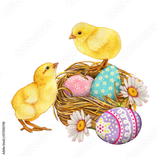 Wallpaper Mural Watercolor cute chicke non nest with  waster eggs Torontodigital.ca