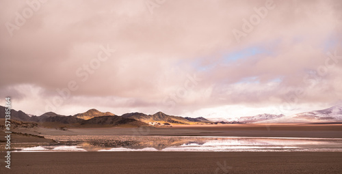 Laguna Grande, Argentina, salar con flamencos