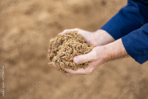Photos Hands of male farmworker holding handful of brewers grains on background of large pile