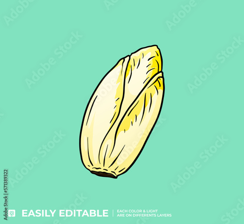 Tableau sur toile Endive Jaune Illustration Vecteur