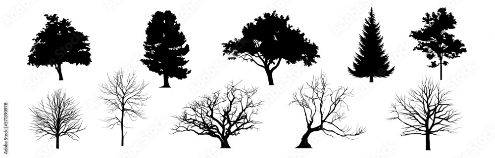 Obraz premium Tree silhouette. Tree vector.