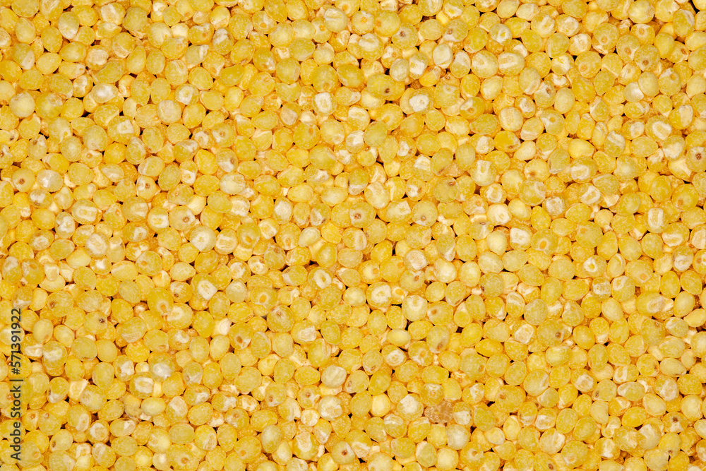 Millet ground, grits from round yellow grains seeds in bulk, close-up, background wallpaper, uniform texture pattern Millet ground, grits from round yellow grains seeds in bulk, close-up, background wallpaper, uniform texture pattern