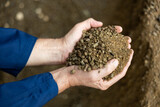 Close up of farmer hands holding animal feed granulated rapeseed meal at farm storage area