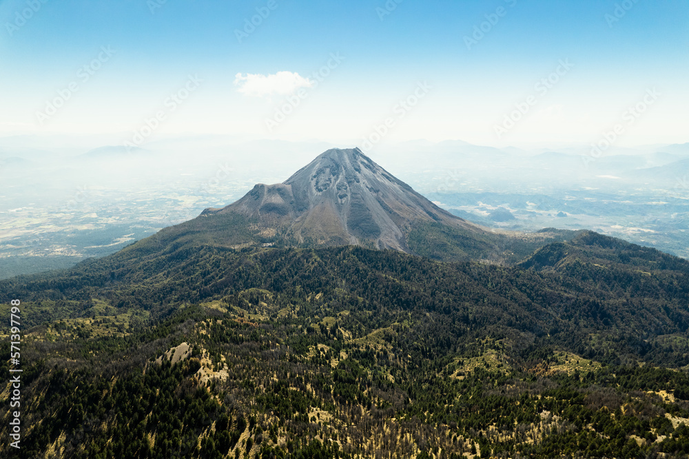 Bosque del Nevado de Colima
