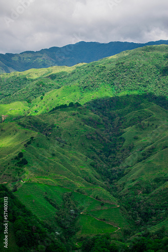 Green landscape in the city of Colombia, Colombian mountains , trees, summer, hike