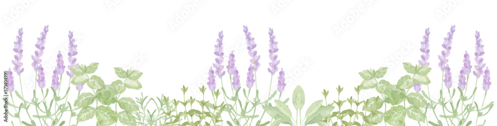 Obraz premium 水彩で描いたハーブガーデン