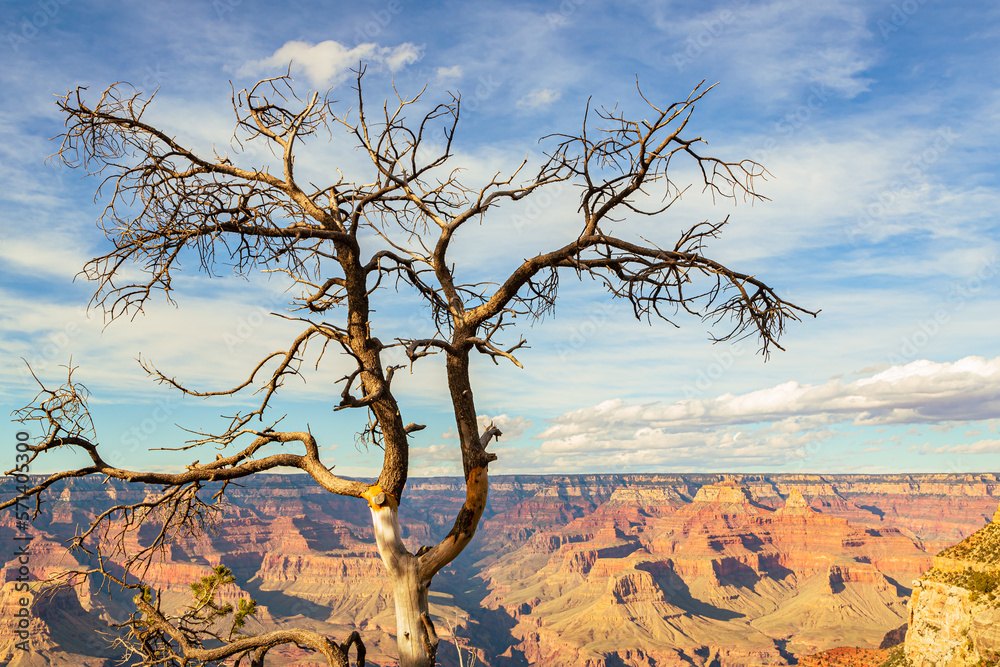 Grand Canyon in Arizona, USA. Skyline of Grand Canyon National Park. Panorama in beautiful nature landscape scenery at sunset in Grand Canyon National Park. Grand Canyon in Arizona, USA. Skyline of Grand Canyon National Park. Panorama in beautiful nature landscape scenery at sunset in Grand Canyon National Park.
