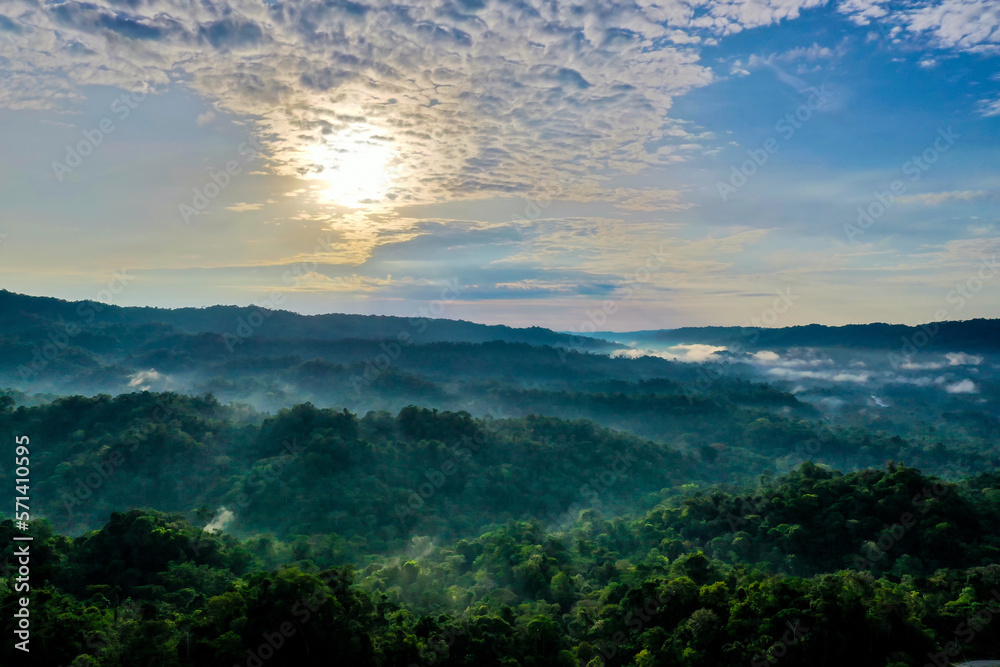 Tropical forest or jungle background with the sun shining early on the day during sunrise