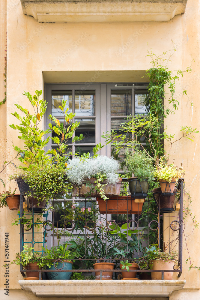 Window on an old house with flower pots in Dieppe, France