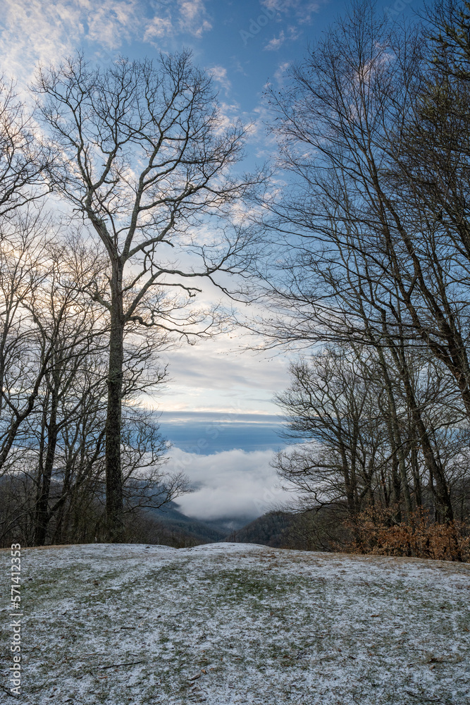 Snowy Morning Along The Ridge In Great Smoky Mountains Snowy Morning Along The Ridge In Great Smoky Mountains
