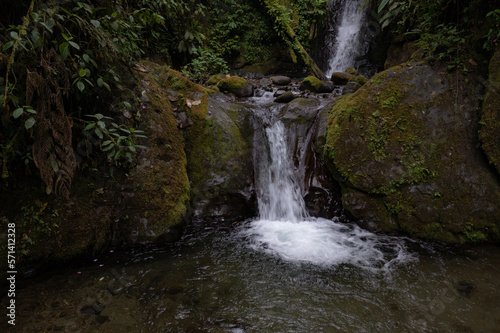 Beautiful nature background, moving over thick old rotten logs revealing several cascades of a small stream in a tropical cloudforest