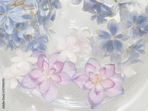 various hydrangeas on water in a vase