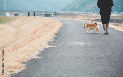 飼い主と散歩する犬