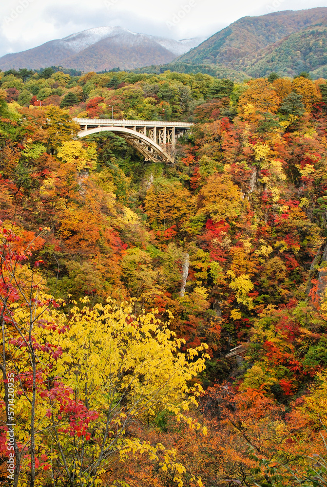 Japanese scenery bridge in autumn Japanese scenery bridge in autumn