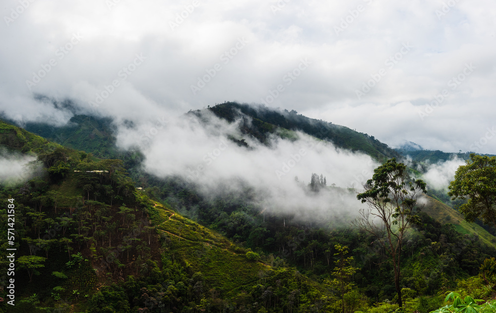 fog in the Colombian mountains