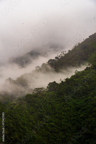 misty morning in the Colombian mountains