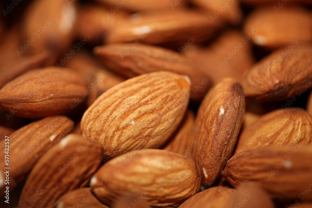 Dry fruit almond close up background prunus amygdalus family rosaceae botanical high quality big size print Dry fruit almond close up background prunus amygdalus family rosaceae botanical high quality big size print