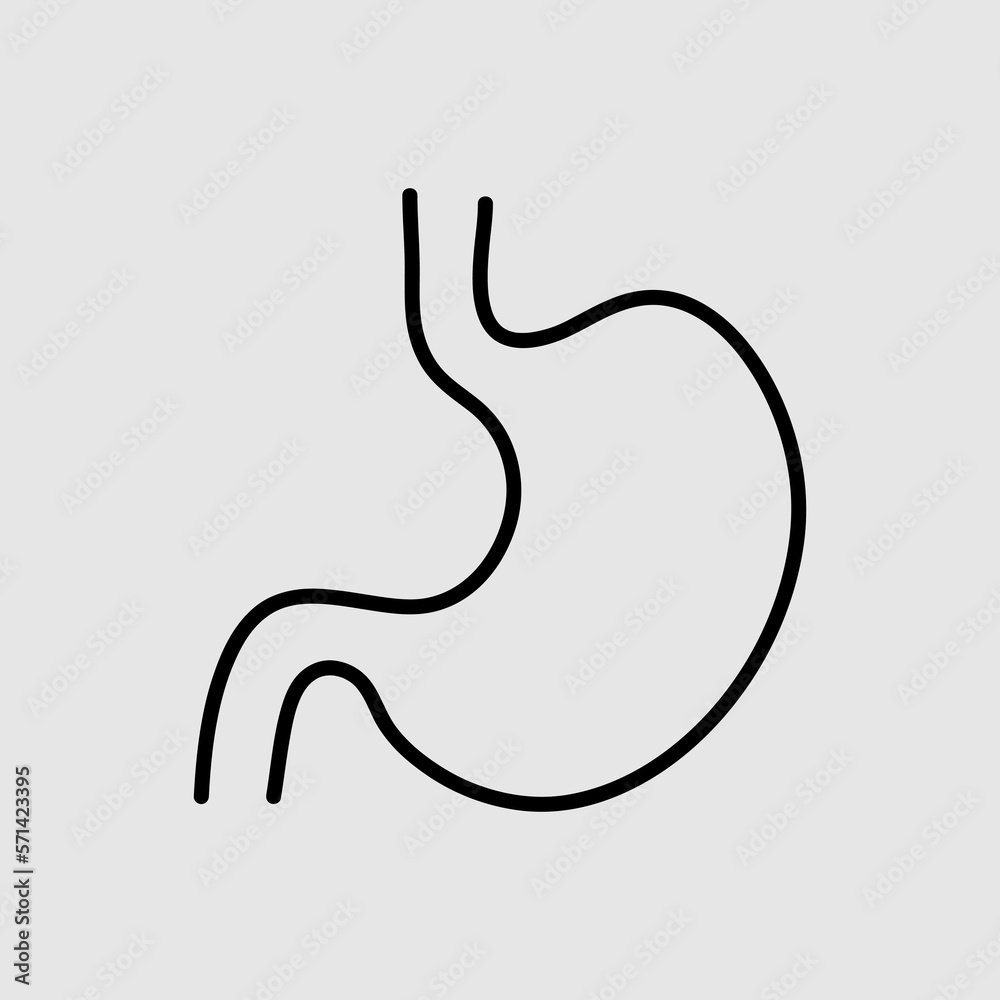stomach line icon trendy style illustration on white background..eps stomach line icon trendy style illustration on white background..eps