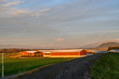 Red barns at sunset in a rural landscape 