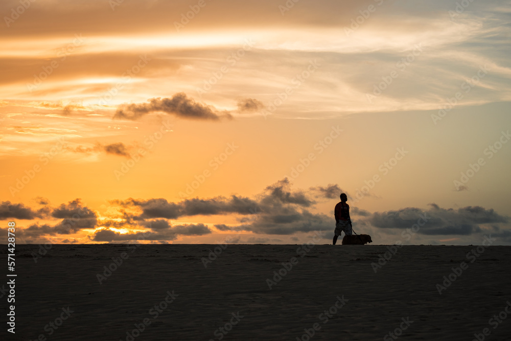 silhouette of a person on the beach at sunset