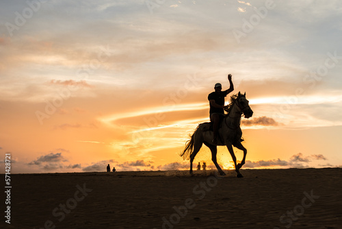 horse at sunset © Fernando