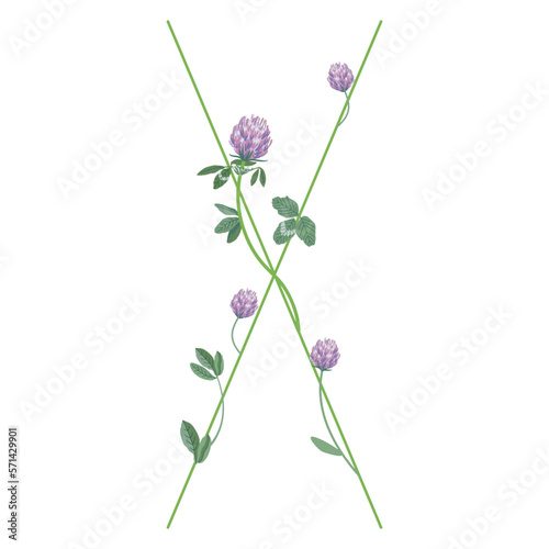 Capital letter X with floral motifs. Decorative font with blooming branches of red clover flower. Isolated vector illustration.