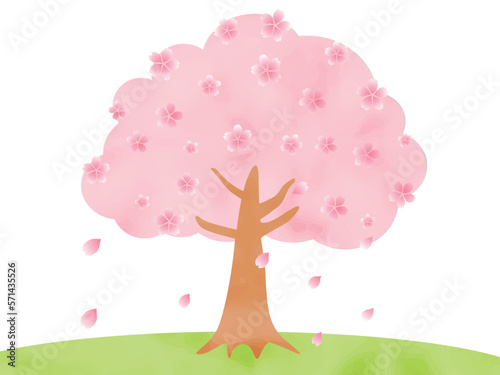 桜の木