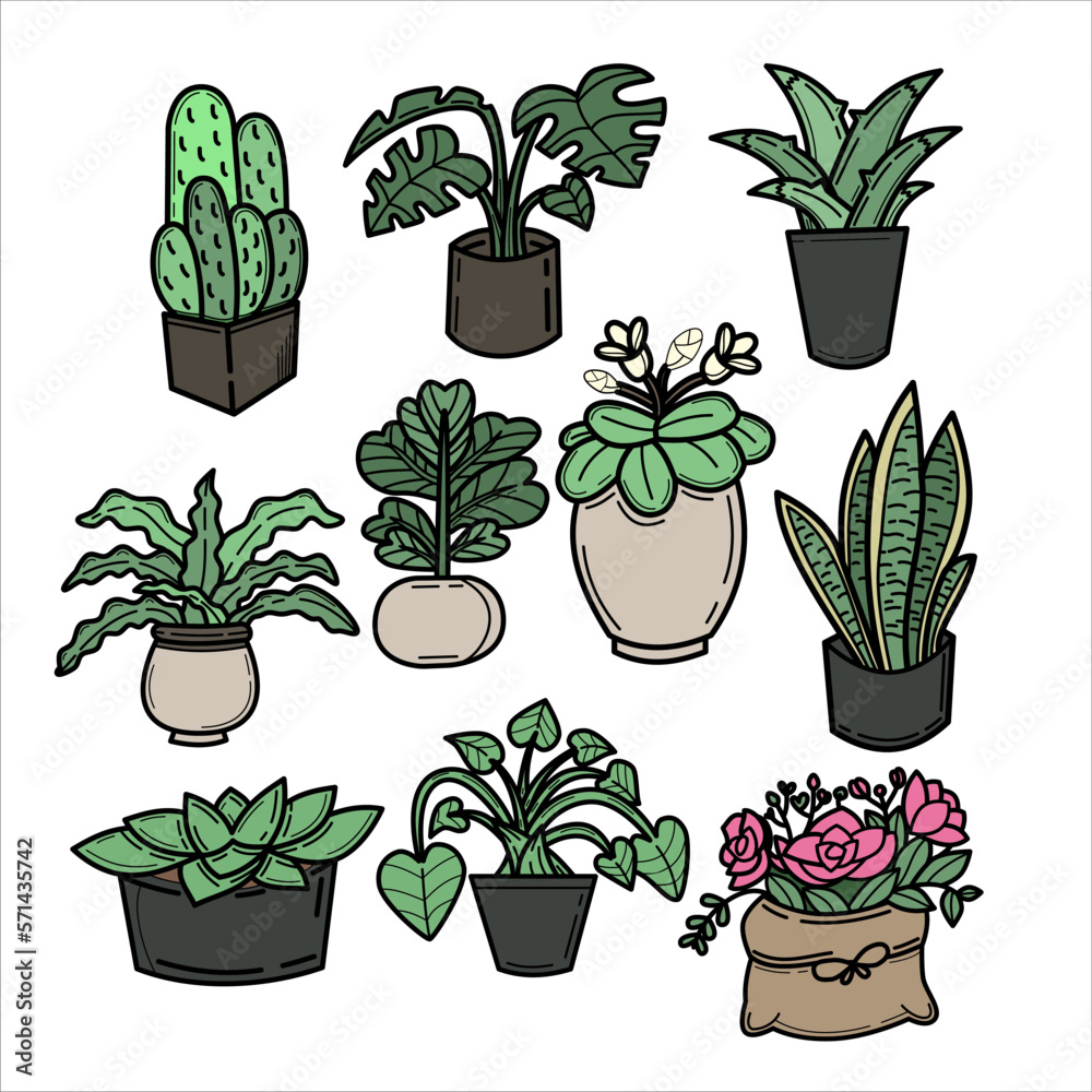 handdrawn doodle indoor plant garden potted plant for room decoration handdrawn doodle indoor plant garden potted plant for room decoration