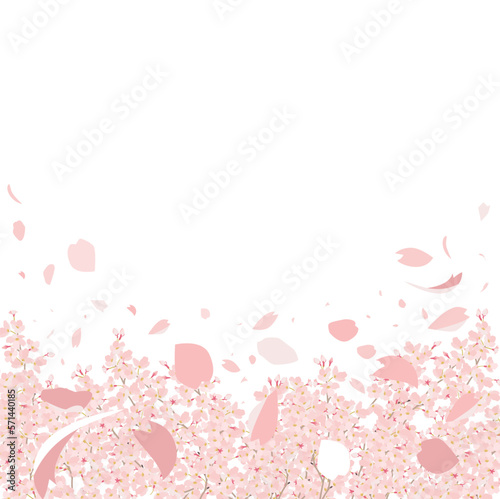 桜 花びら舞う 上にコピースペース 正方形 