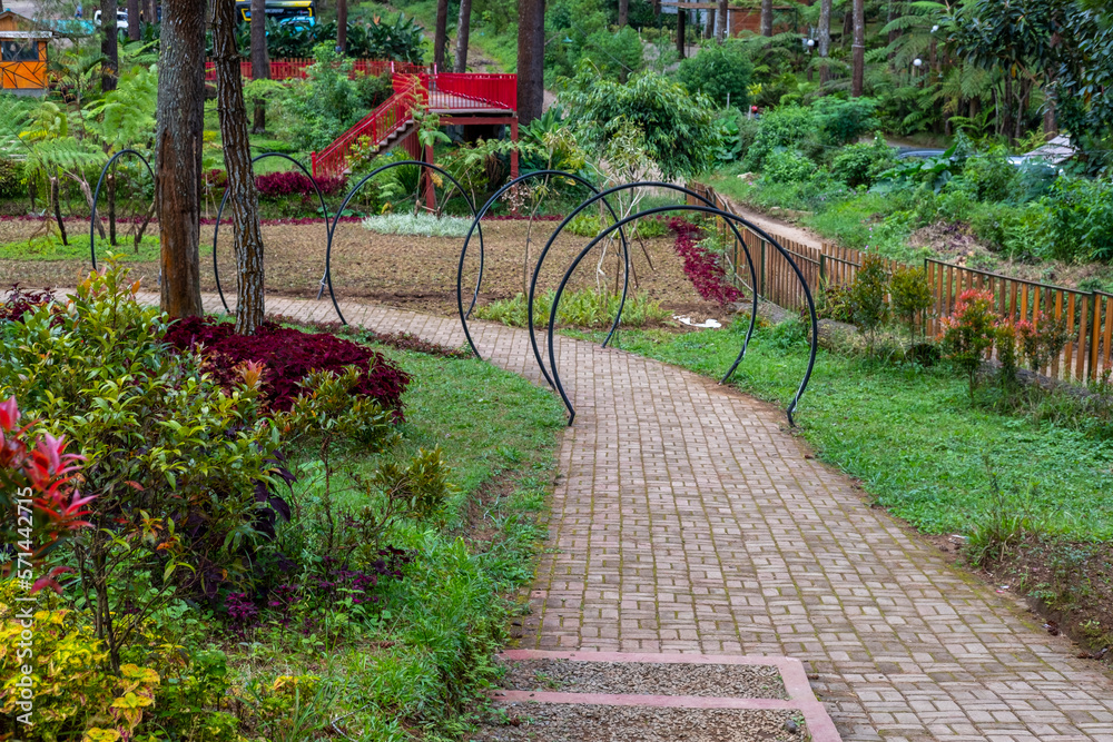 The lush garden is equipped with paving blocks for tourists to walk while enjoying the shade of forest trees. The lush garden is equipped with paving blocks for tourists to walk while enjoying the shade of forest trees.