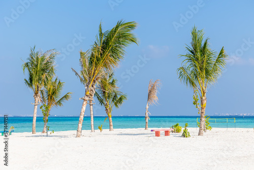 coconut palm tree in the tropical island with blue sky and white sandy beaches