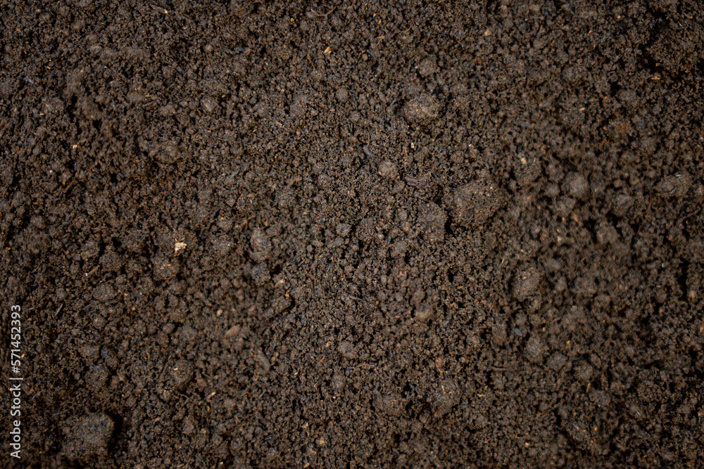 Abstract soil texture for nature background Abstract soil texture for nature background