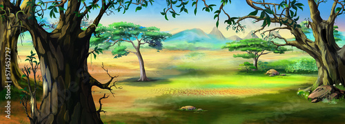 Edge of the forest illustration