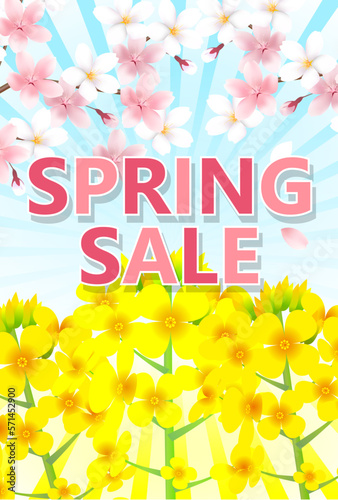 桜　菜の花　スプリングセール　背景