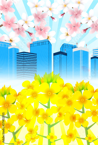 桜　菜の花　建物　背景