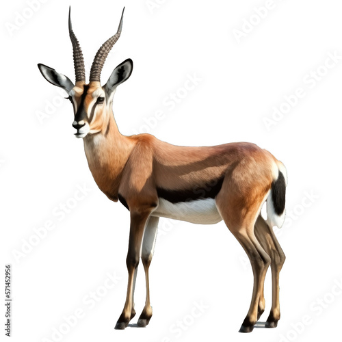 Animal Antelope Design Elements Isolated Transparent Background: Graphic Masterpiece, Clear Alpha Channel for Overlays Web Design, Digital Art, PNG Image Format (generative AI
